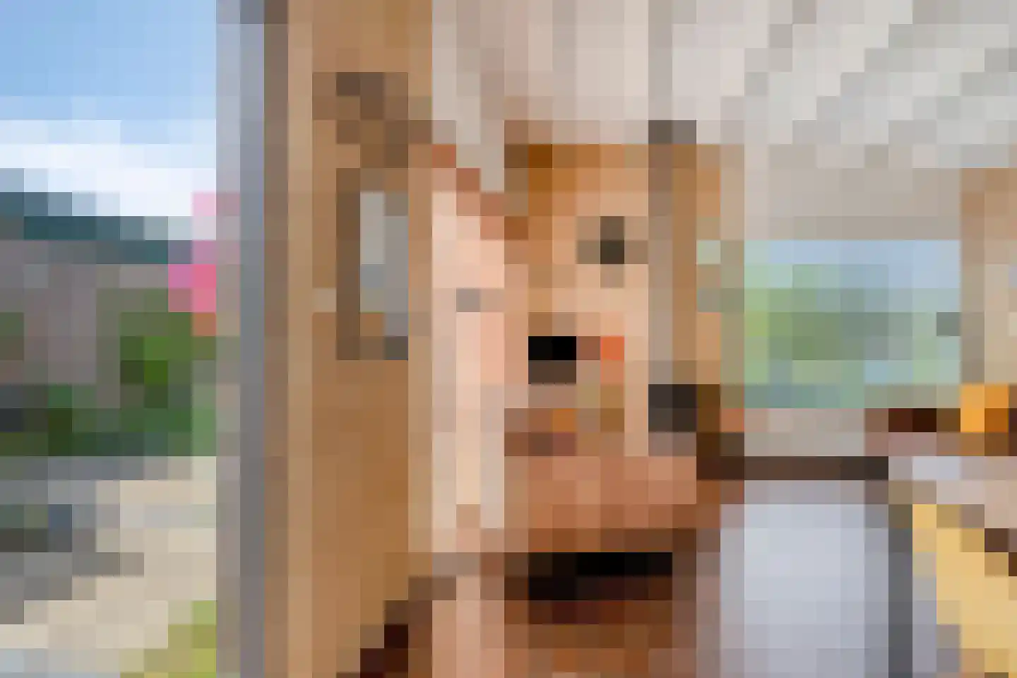 Duinschooten 12 221 Noordwijkerhout thumbnail 9