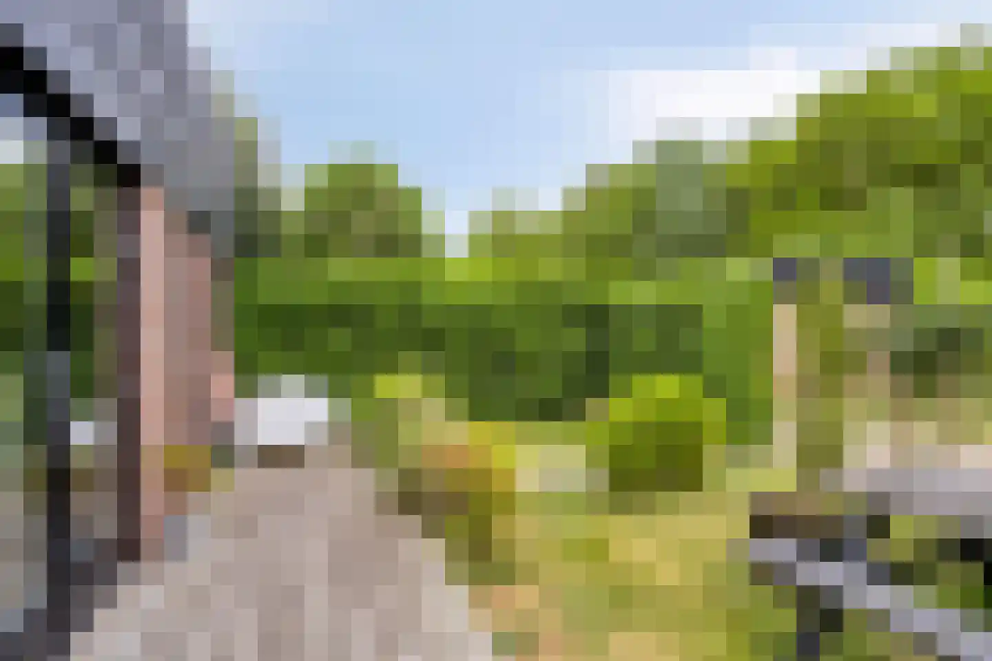 Duinschooten 12 235 Noordwijkerhout thumbnail 19