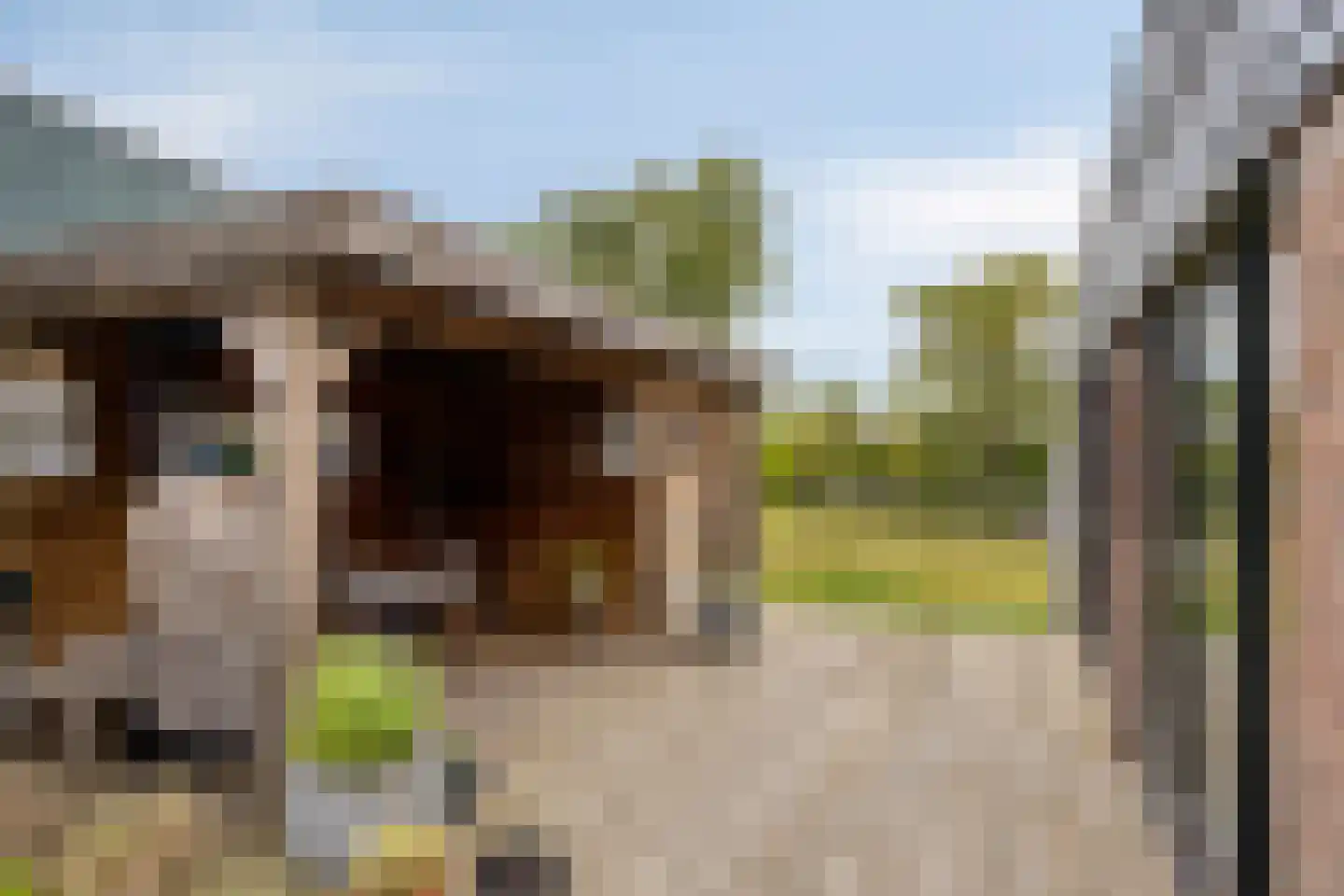 Duinschooten 12 235 Noordwijkerhout thumbnail 21