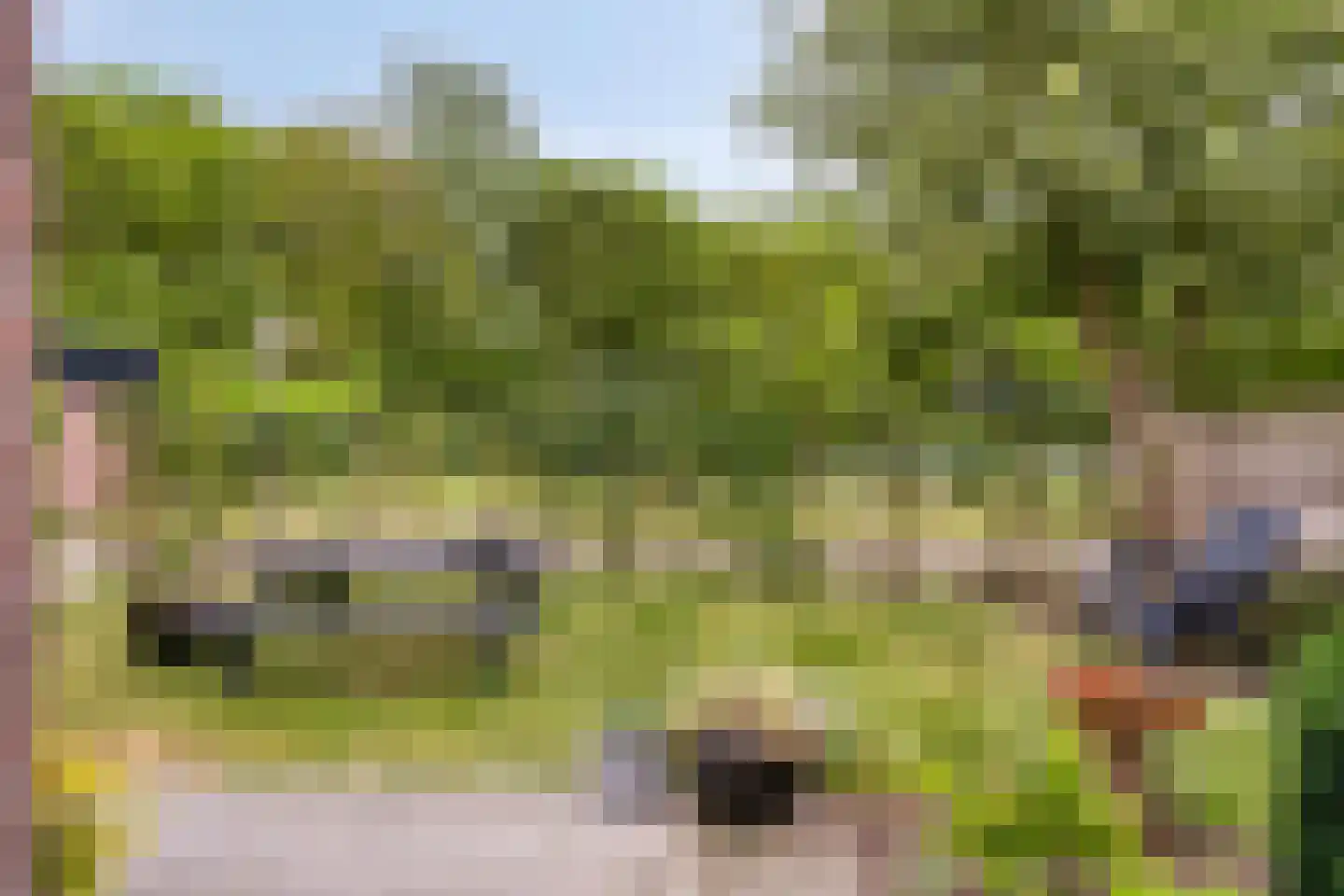 Duinschooten 12 235 Noordwijkerhout thumbnail 25