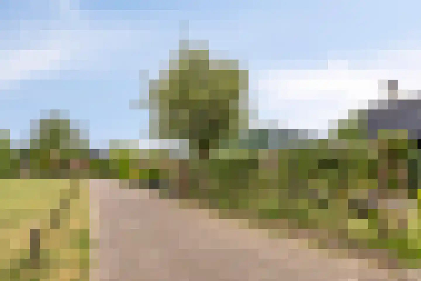 Duinschooten 12 235 Noordwijkerhout thumbnail 26