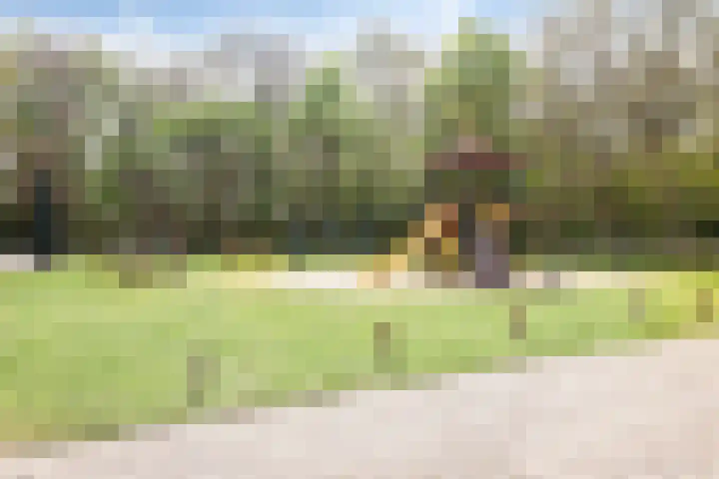 Duinschooten 12 235 Noordwijkerhout thumbnail 28