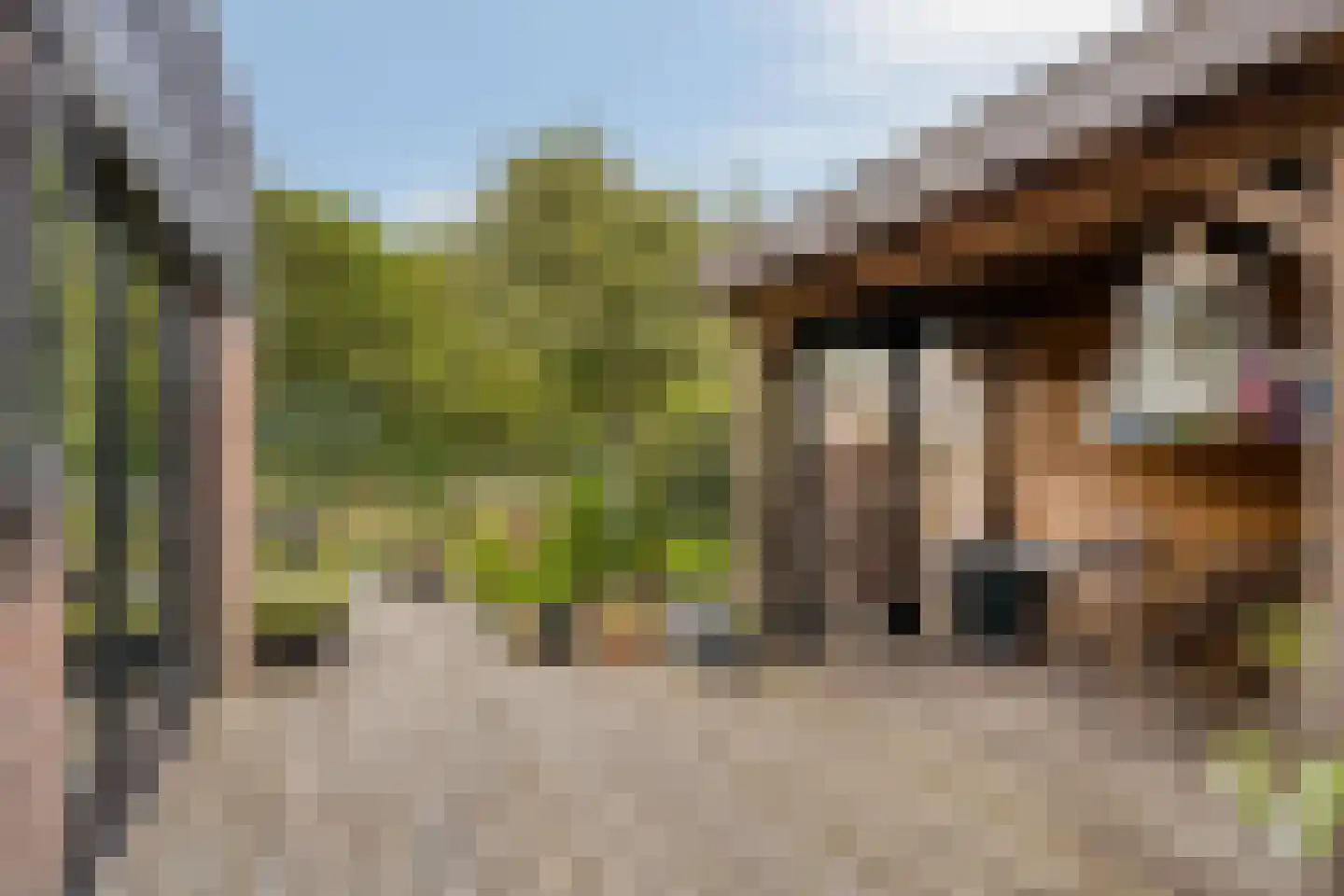 Duinschooten 12 235 Noordwijkerhout thumbnail 4