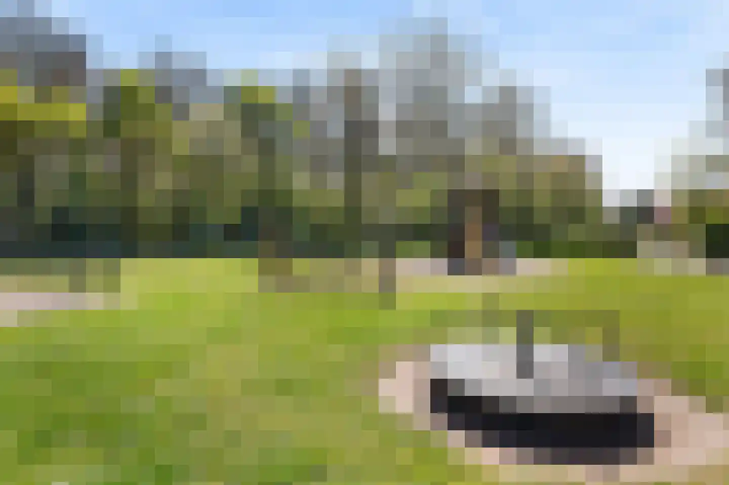 Duinschooten 12 237 Noordwijkerhout thumbnail 24