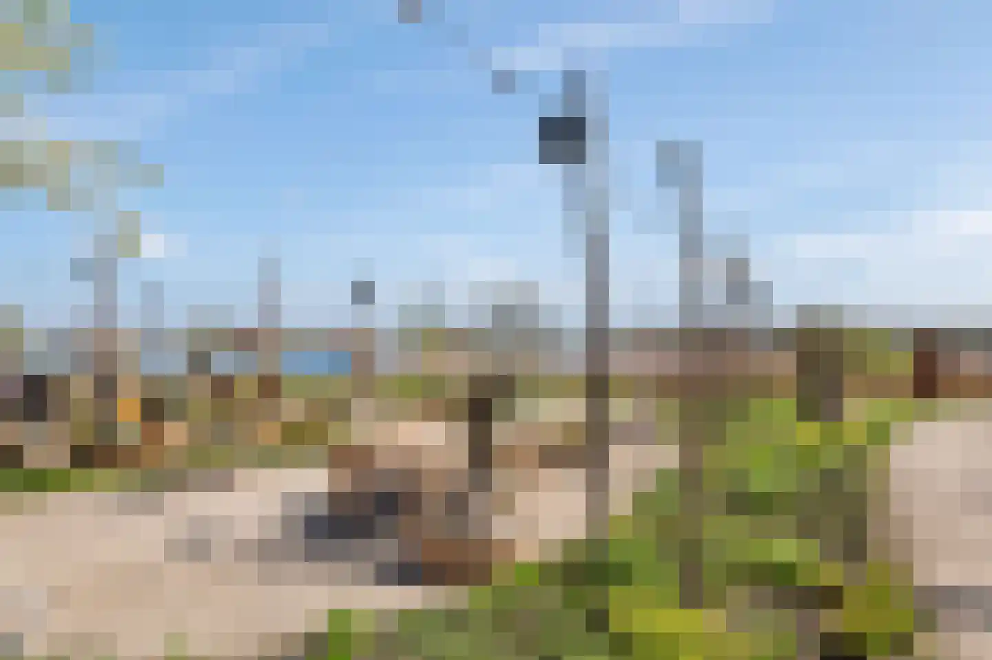 Duinschooten 12 237 Noordwijkerhout thumbnail 27