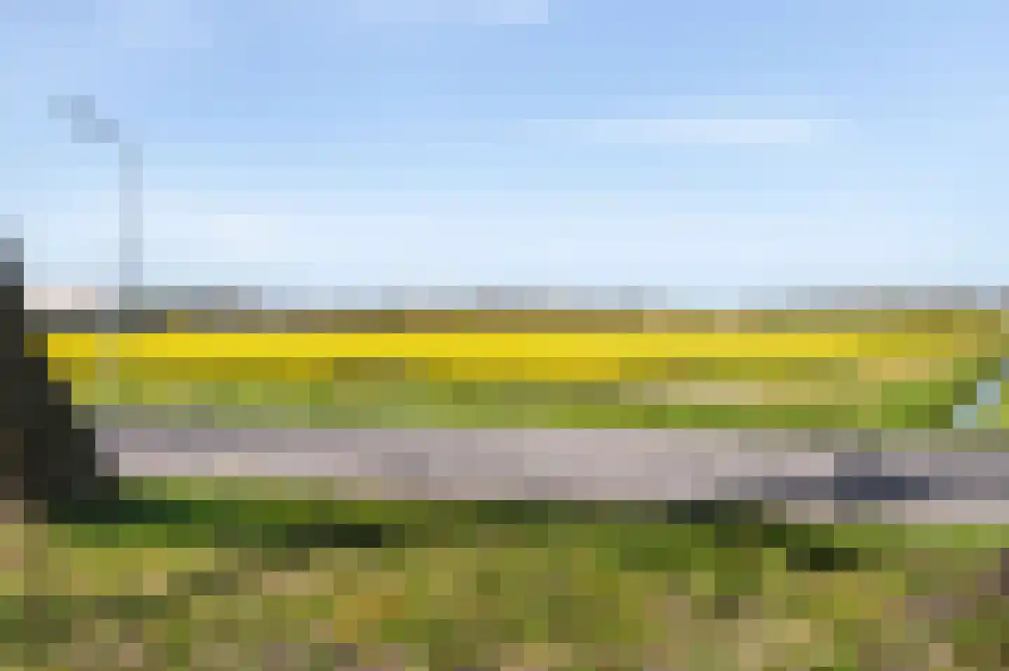Duinschooten 12 237 Noordwijkerhout thumbnail 29
