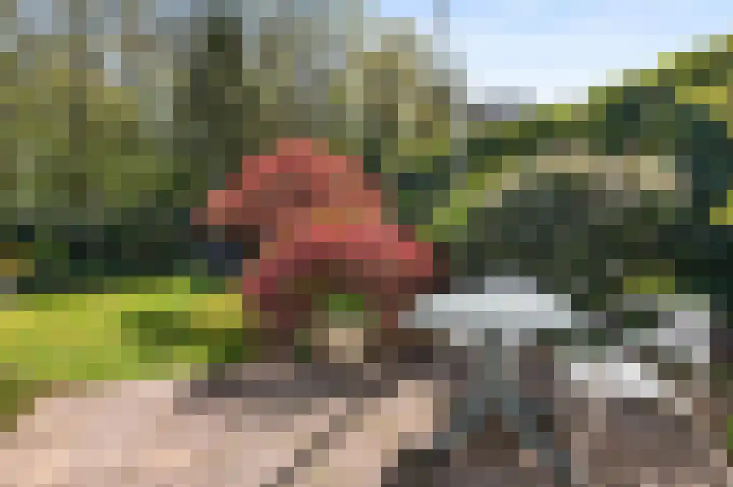Duinschooten 12 237 Noordwijkerhout thumbnail 4