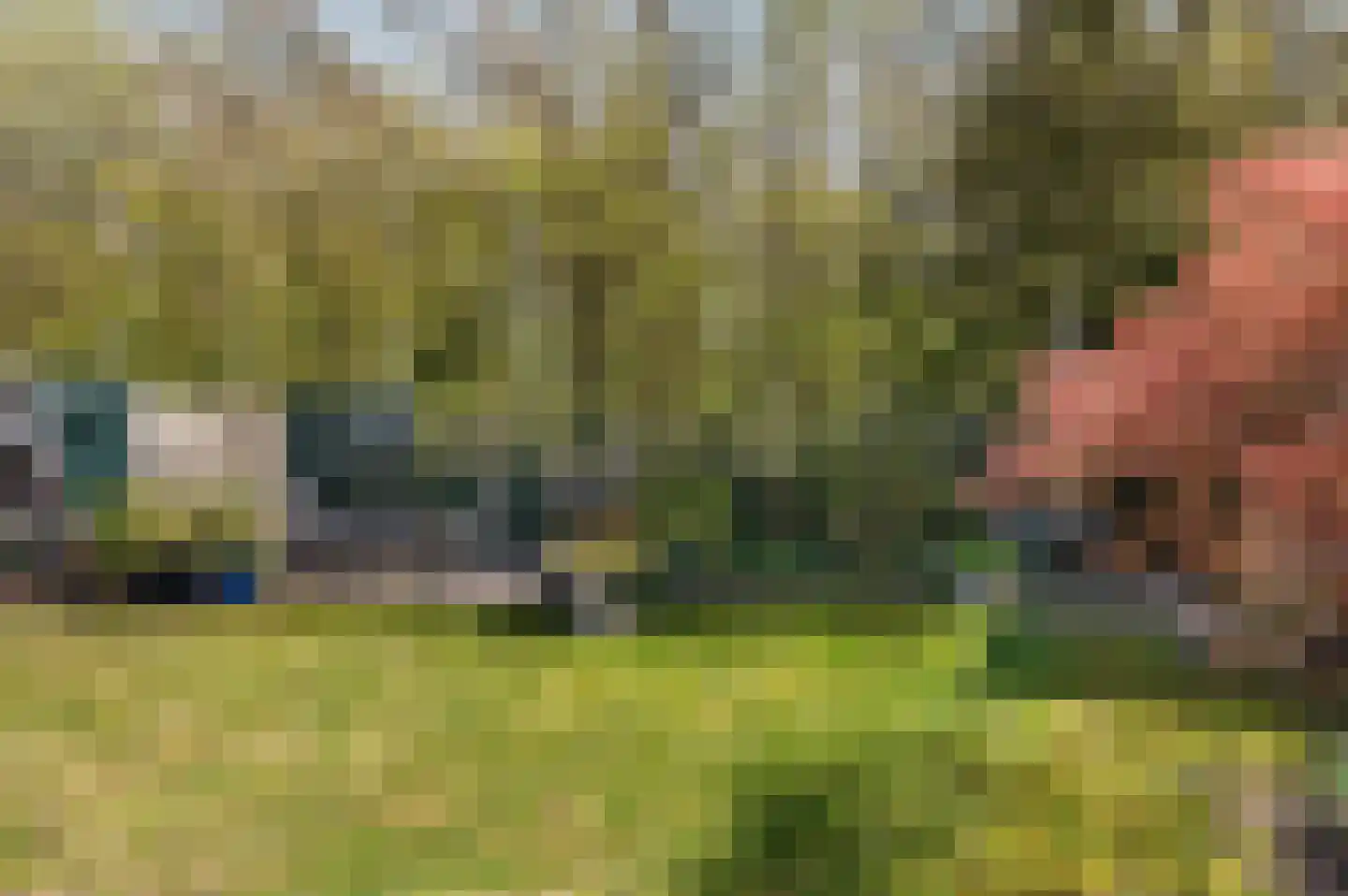 Duinschooten 12 237 Noordwijkerhout thumbnail 5