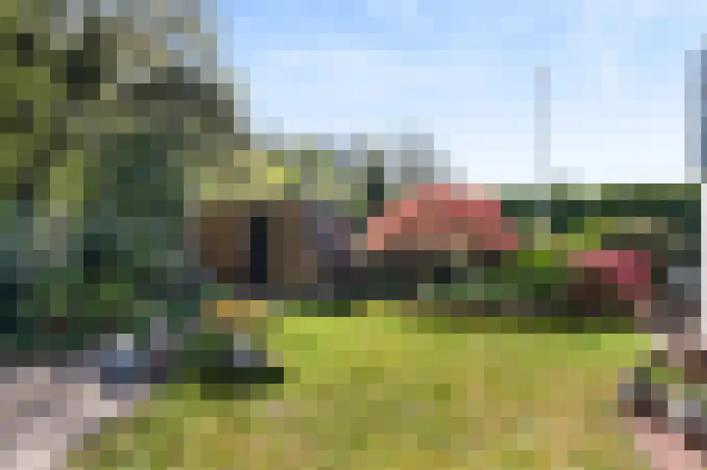 Duinschooten 12 237 Noordwijkerhout thumbnail 7