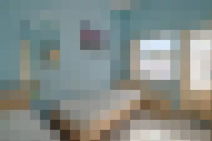 Duinschooten 12 282 Noordwijkerhout thumbnail 19