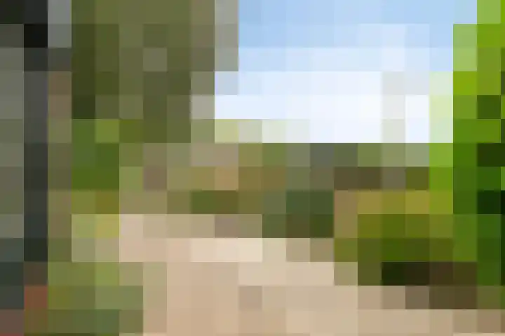 Duinschooten 12 282 Noordwijkerhout thumbnail 21