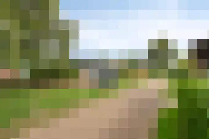 Duinschooten 12 282 Noordwijkerhout thumbnail 23