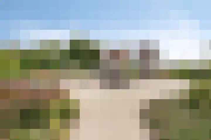 Duinschooten 12 282 Noordwijkerhout thumbnail 24