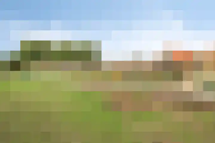 Duinschooten 12 282 Noordwijkerhout thumbnail 25