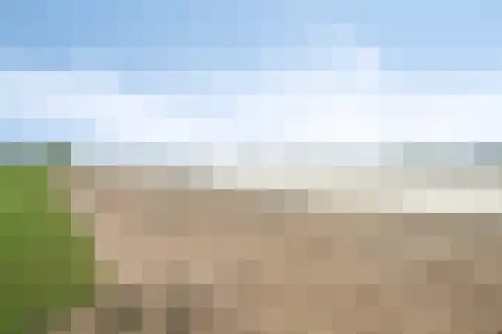 Duinschooten 12 282 Noordwijkerhout thumbnail 26