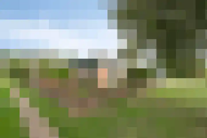 Duinschooten 12 282 Noordwijkerhout thumbnail 5