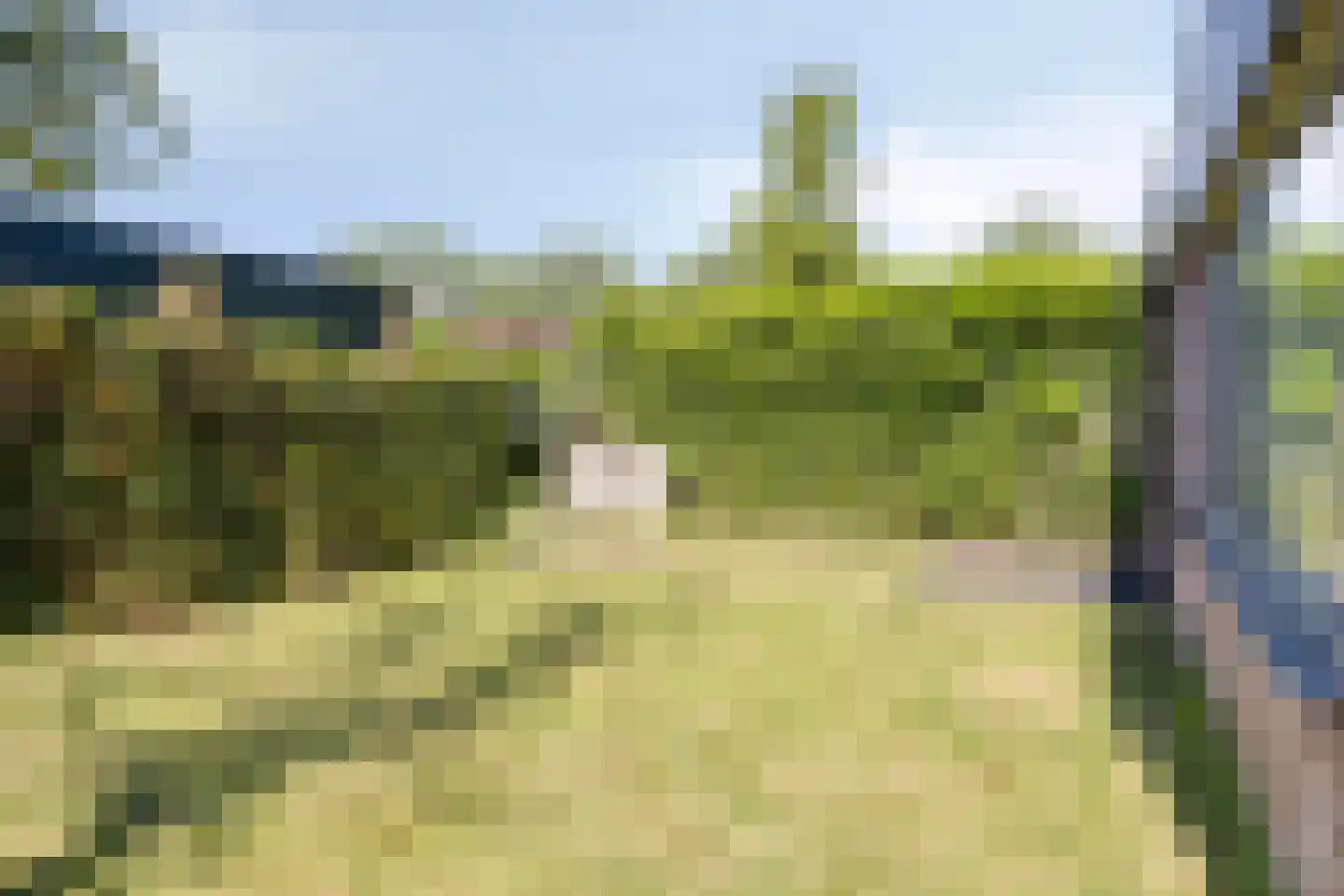 Duinschooten 12 284 Noordwijkerhout thumbnail 28