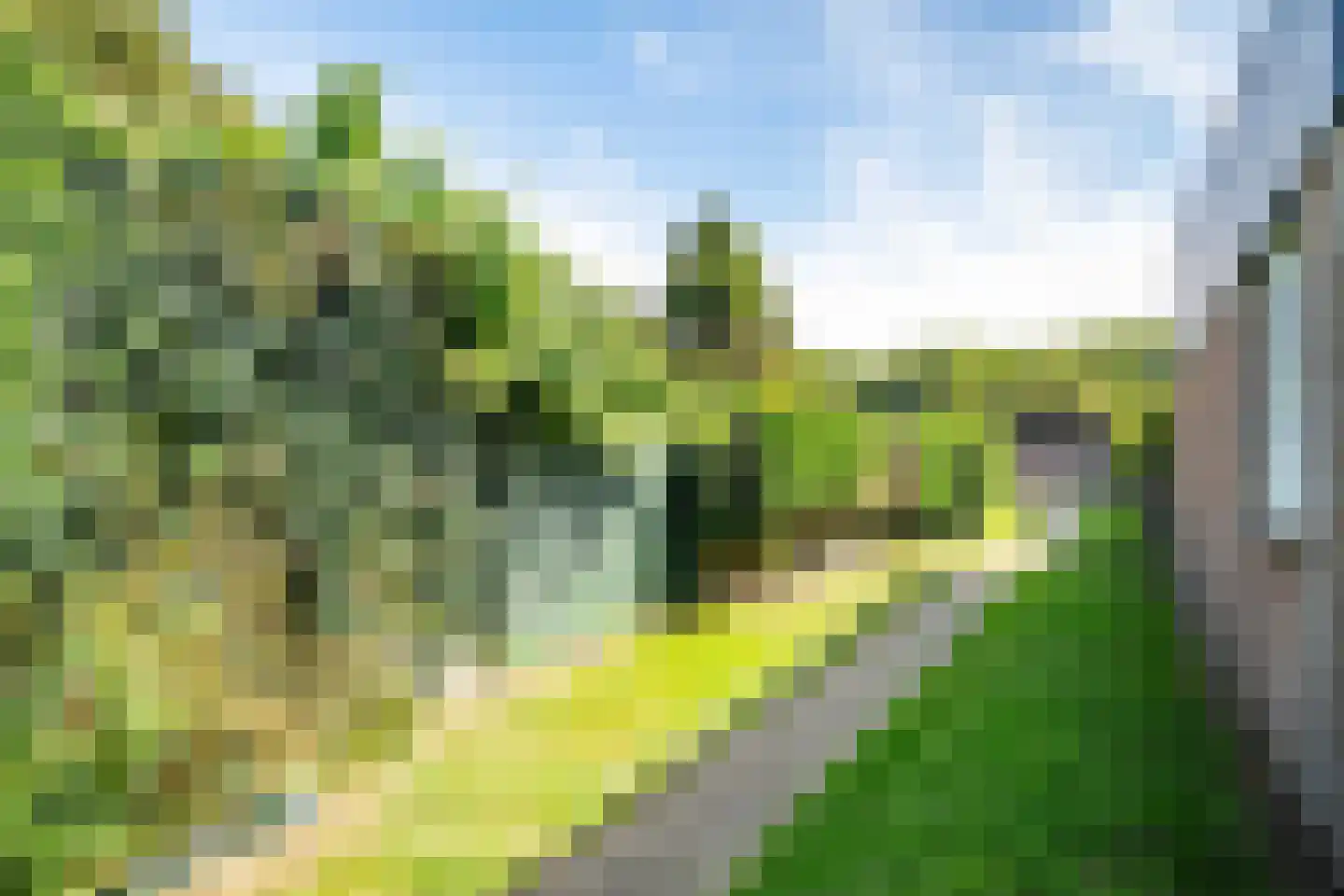 Duinschooten 12 296 Noordwijkerhout thumbnail 14