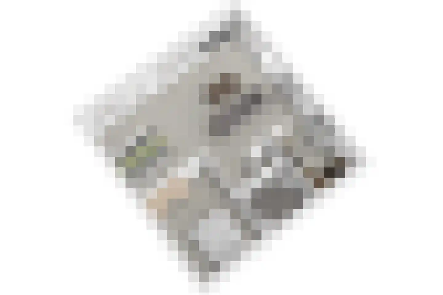 Duinschooten 12 296 Noordwijkerhout thumbnail 33