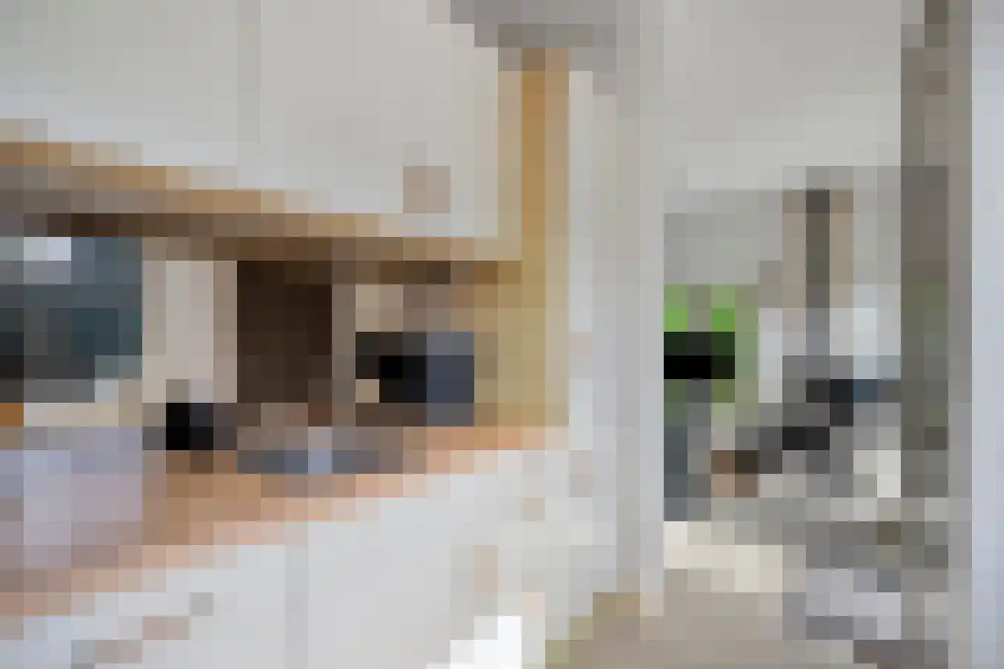 Duinschooten 12 331 Noordwijkerhout thumbnail 13