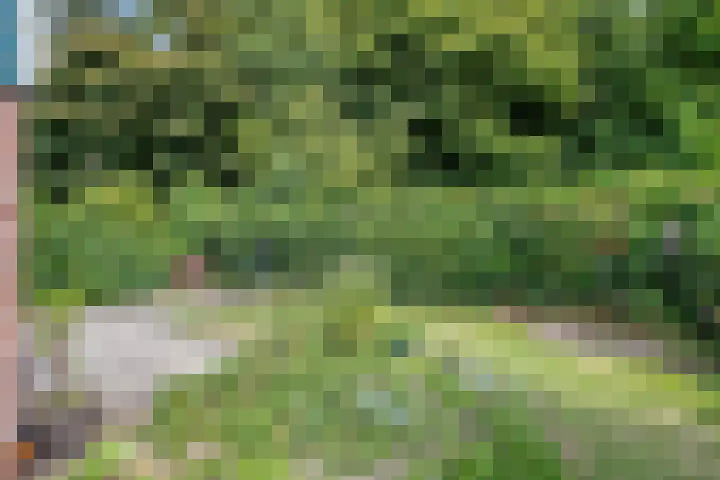 Duinschooten 12 331 Noordwijkerhout thumbnail 19