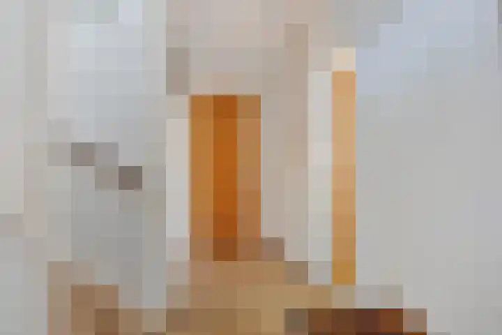 Duinschooten 23 Noordwijk thumbnail 10