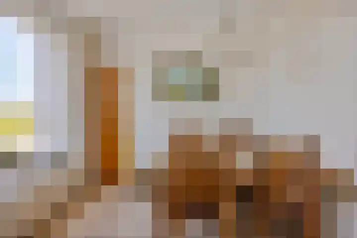 Duinschooten 23 Noordwijk thumbnail 15