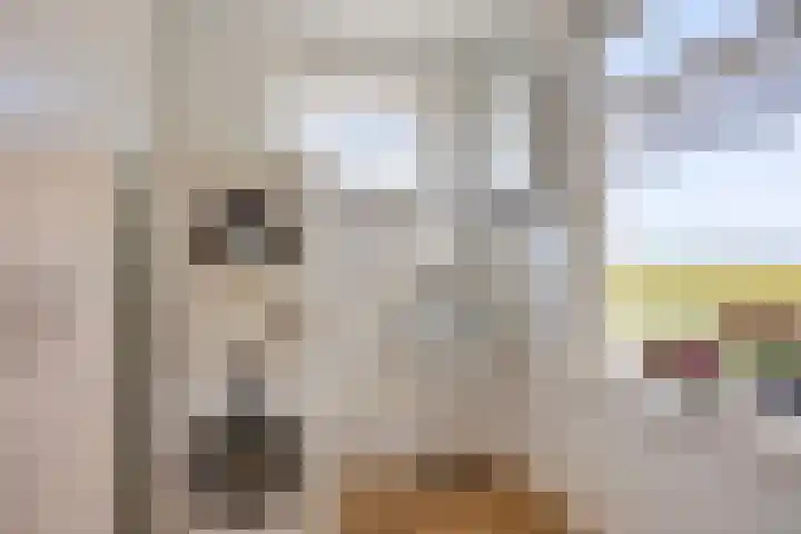 Duinschooten 23 Noordwijk thumbnail 19