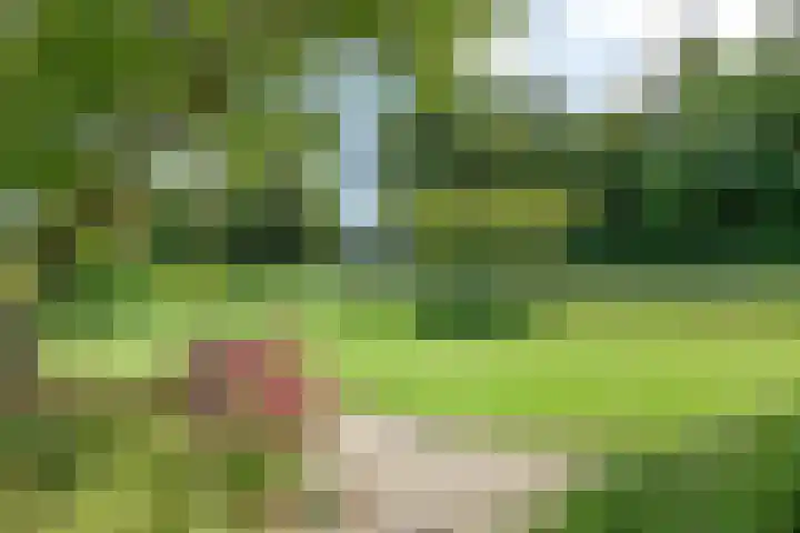 Duinschooten 23 Noordwijk thumbnail 36