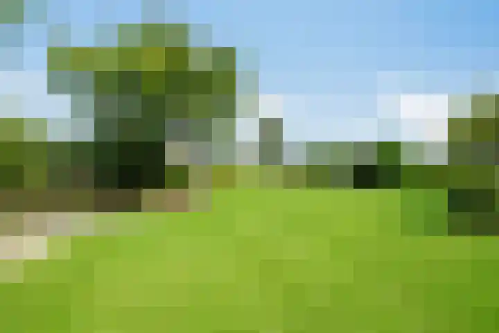 Duinschooten 23 Noordwijk thumbnail 37