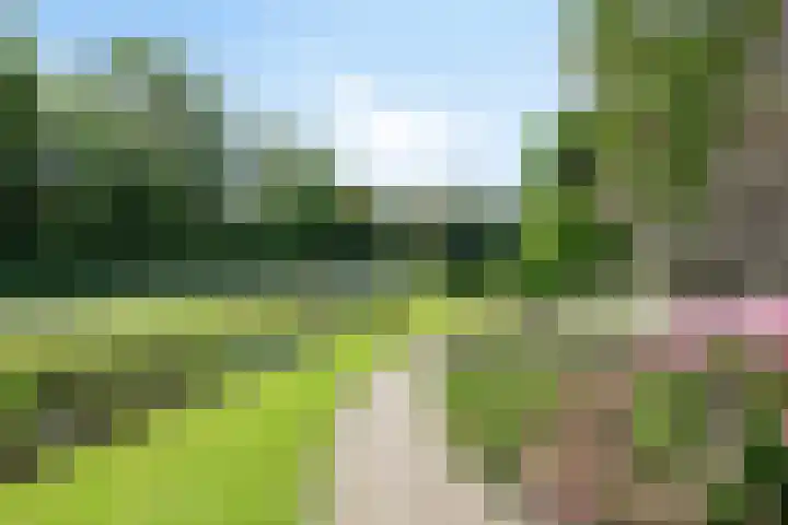 Duinschooten 23 Noordwijk thumbnail 38