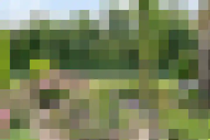 Duinschooten 23 Noordwijk thumbnail 39