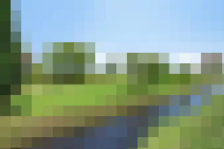 Duinschooten 23 Noordwijk thumbnail 42