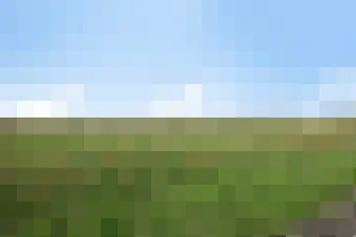 Duinschooten 23 Noordwijk thumbnail 43