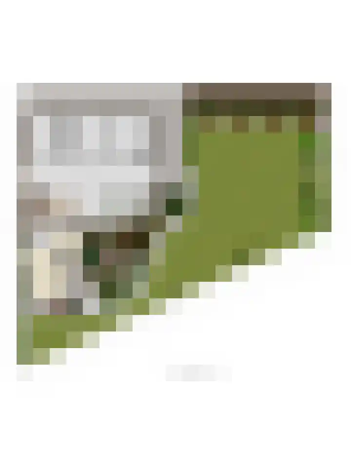Duinschooten 23 Noordwijk thumbnail 44