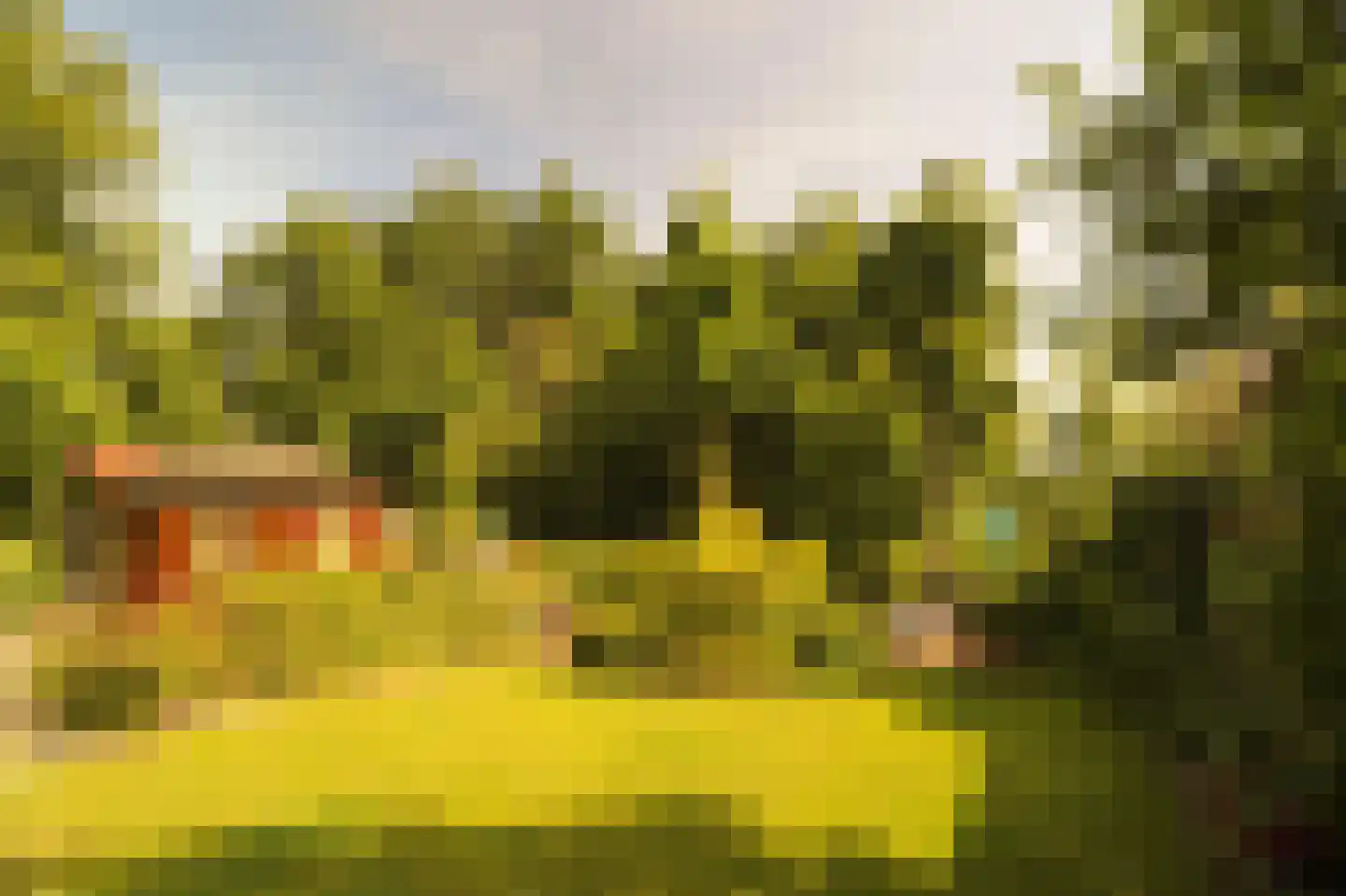 Duinschooten 30 B2 Noordwijkerhout thumbnail 4