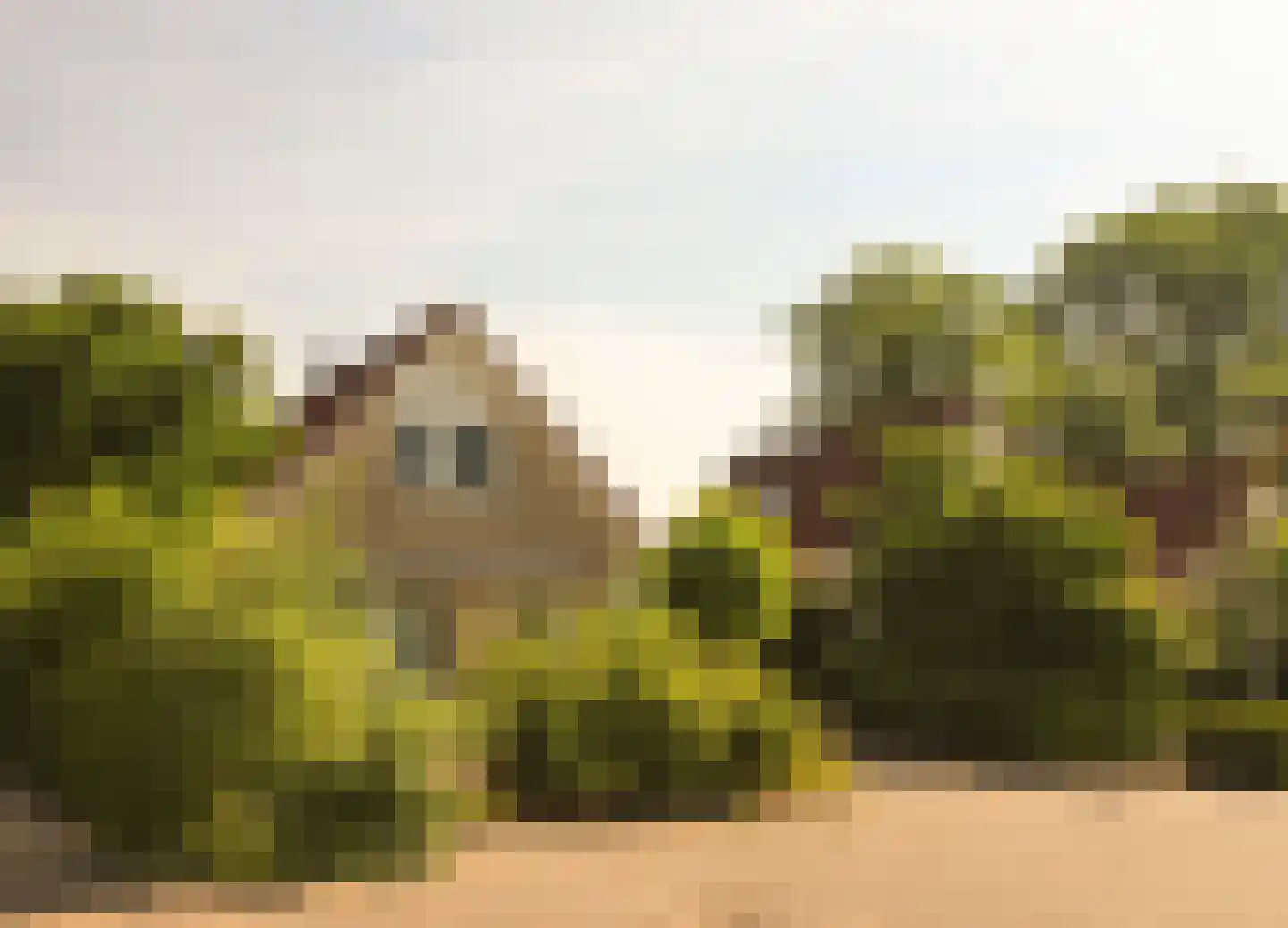 Duinschooten 30 B2 Noordwijkerhout thumbnail 5