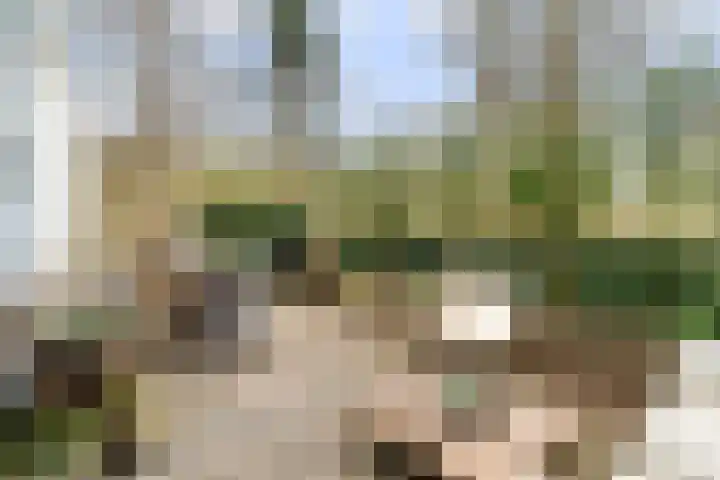 Duinslag 53 Den Haag thumbnail 12