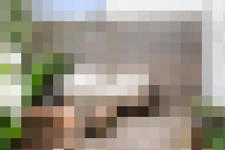 Duinslag 53 Den Haag thumbnail 13