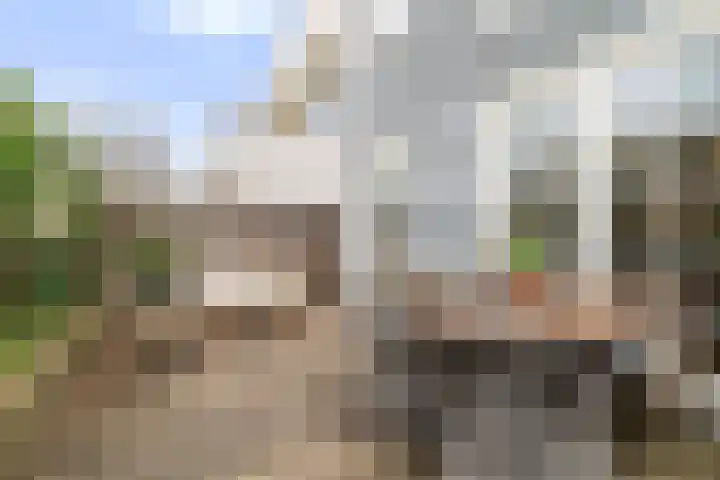 Duinslag 53 Den Haag thumbnail 14