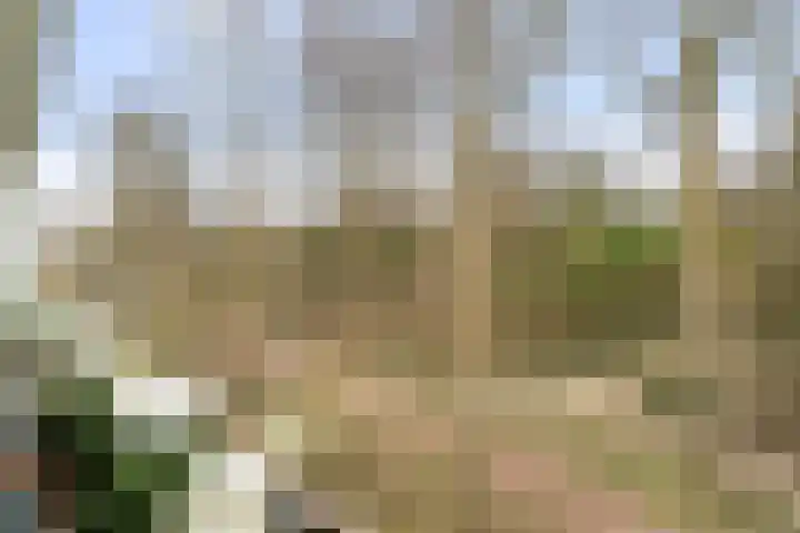 Duinslag 53 Den Haag thumbnail 33