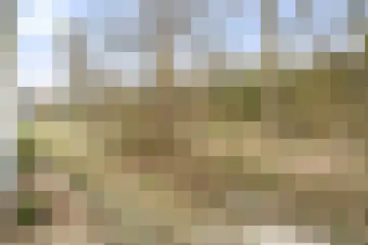 Duinslag 53 Den Haag thumbnail 34