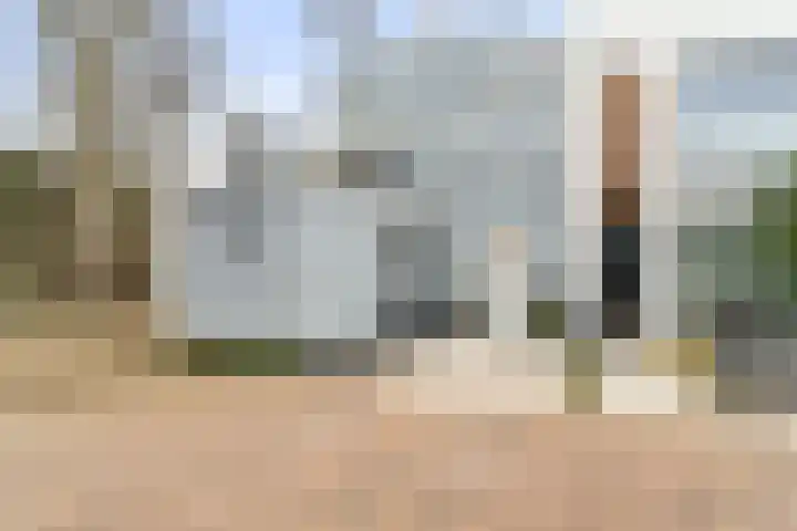 Duinslag 53 Den Haag thumbnail 35