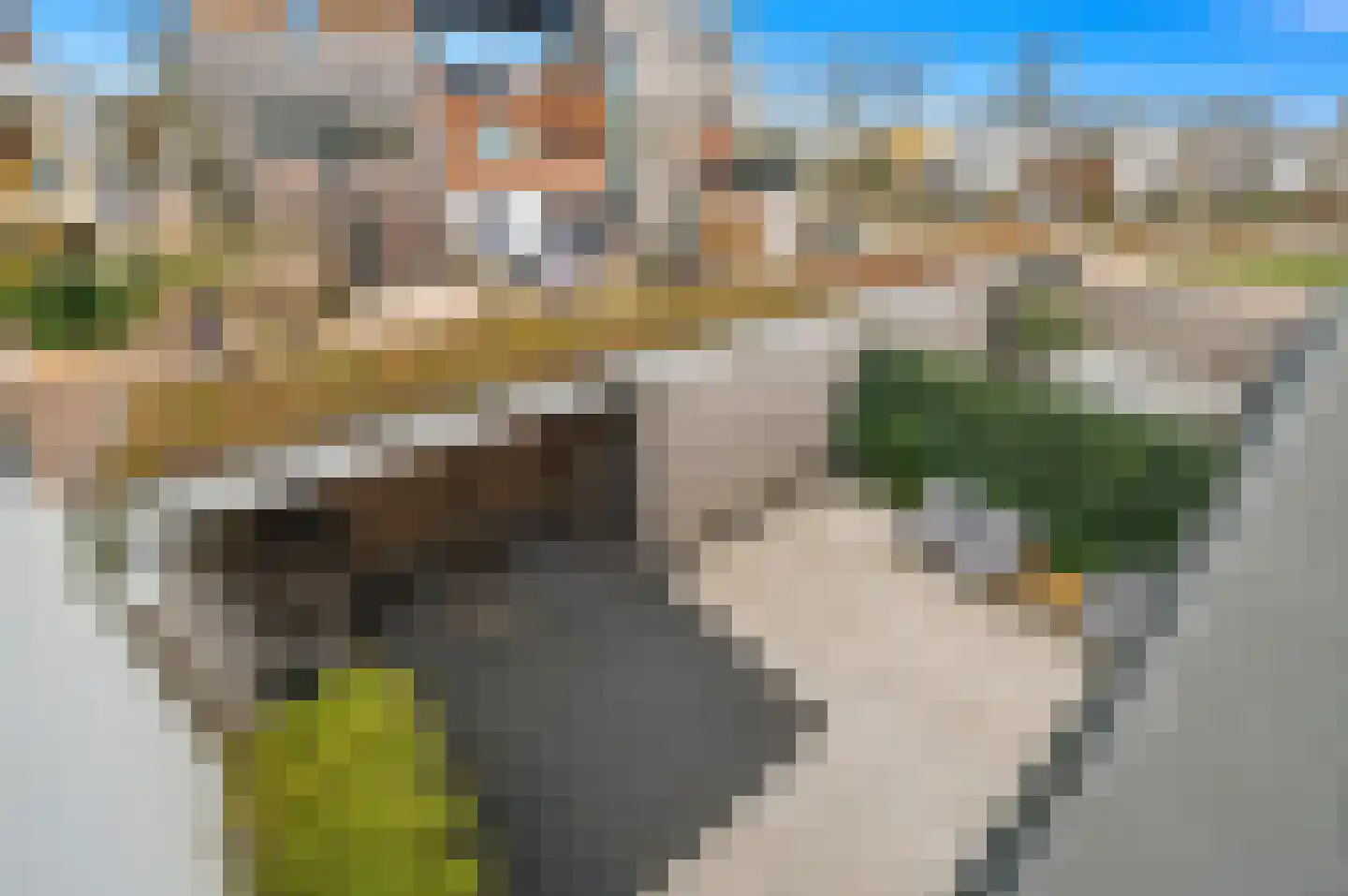 Duinslag 61 Den Haag thumbnail 46