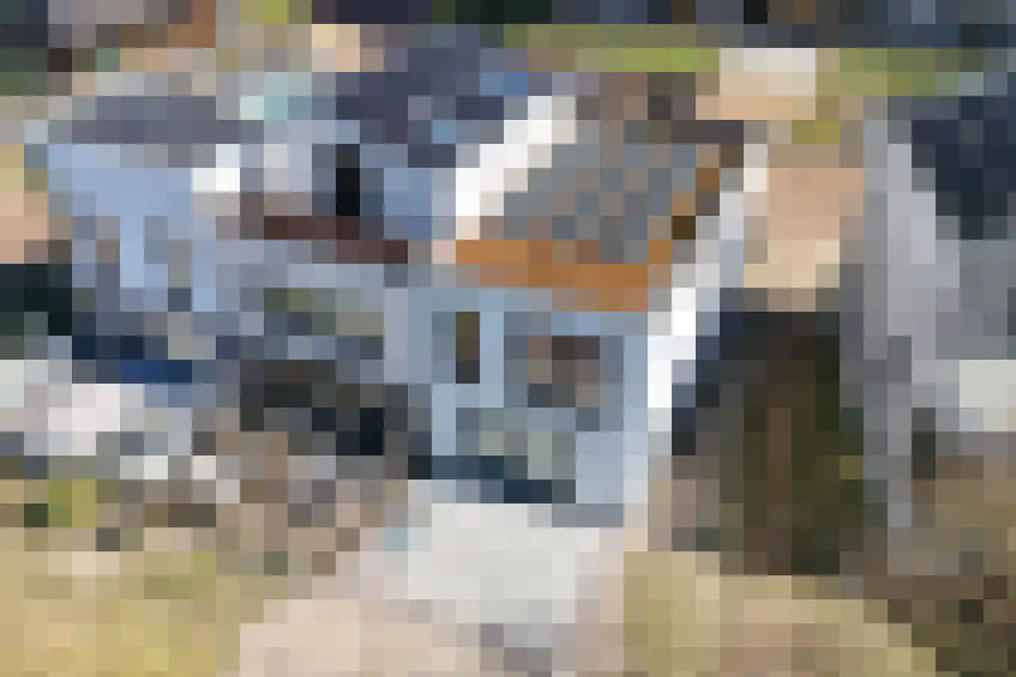 Duinslag 69 Den Haag thumbnail 42