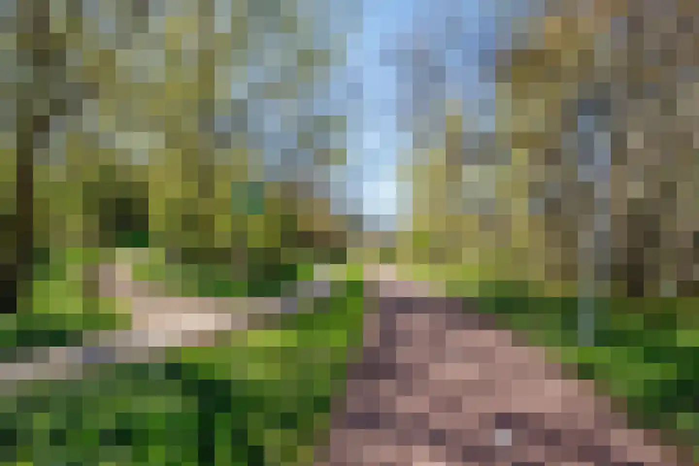Duinslag 69 Den Haag thumbnail 49