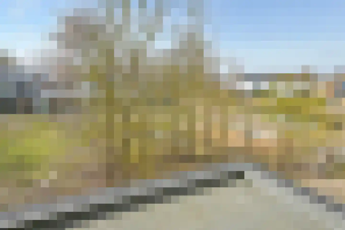 Duinslag 71 Den Haag thumbnail 13
