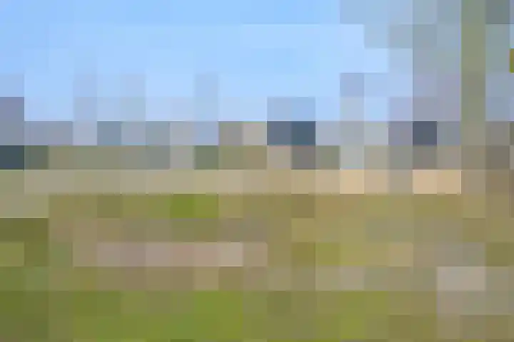 Duinslag 71 Den Haag thumbnail 21