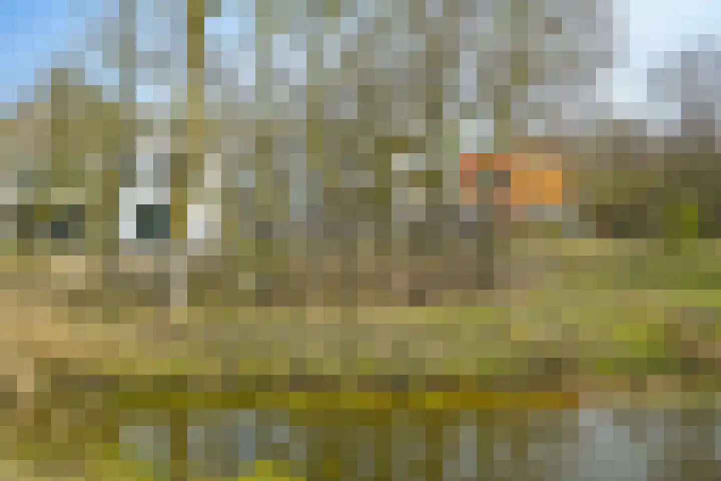 Duinslag 71 Den Haag thumbnail 22