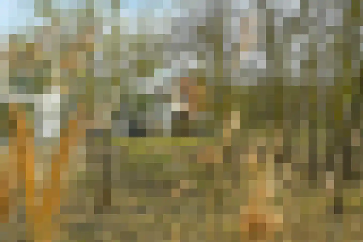 Duinslag 71 Den Haag thumbnail 23